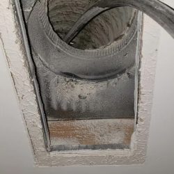 Before Cleanup