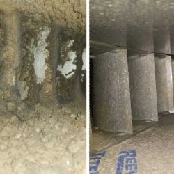 Before & After Cleanup