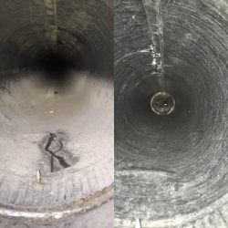 Before & After Cleanup