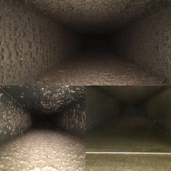Before & After Cleanup